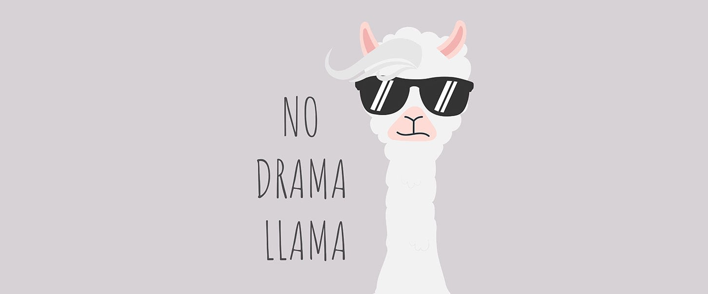No Drama Llama Meme